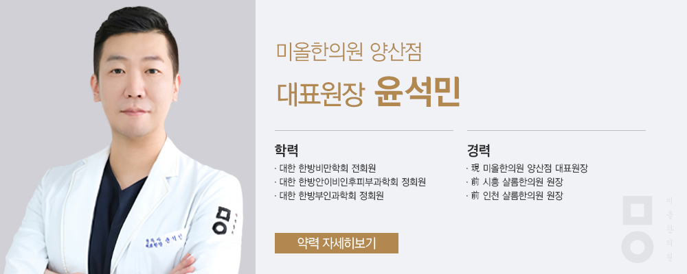 이력사진